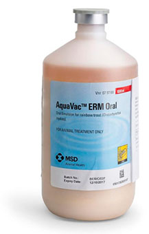 AquaVac ERM Oral - MSD Animal Health Northern Ireland
