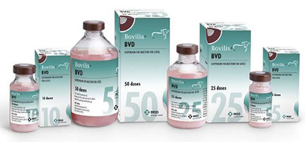 Bovilis BVD pack shot