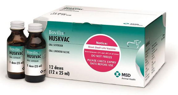 Bovilis Huskvac