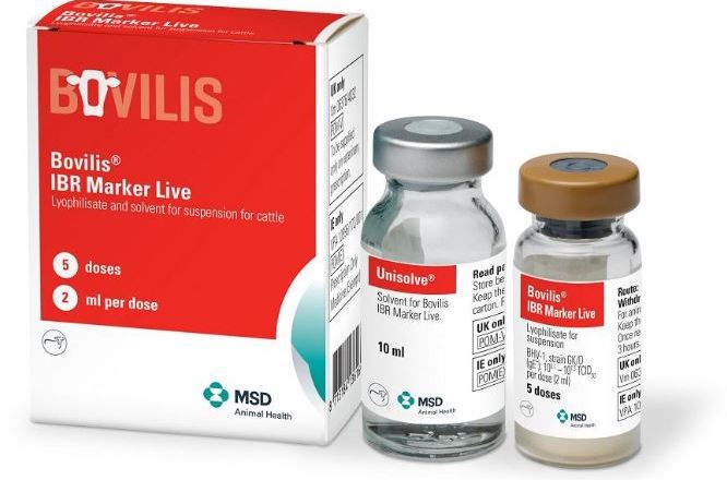 Bovilis IBR Marker Live