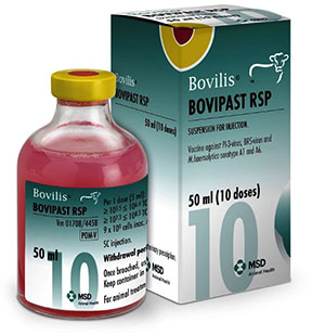 Bovilis Bovipast RSP