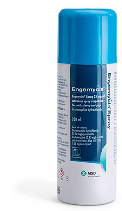 Engemycin Spray