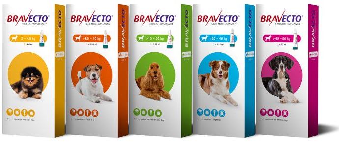 Bravecto spot on for dogs
