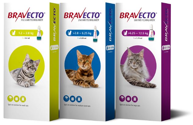Bravecto spoton solution for cats MSD Animal Health Northern Ireland