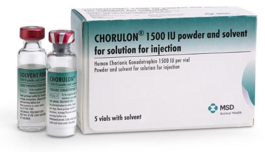Chorulon